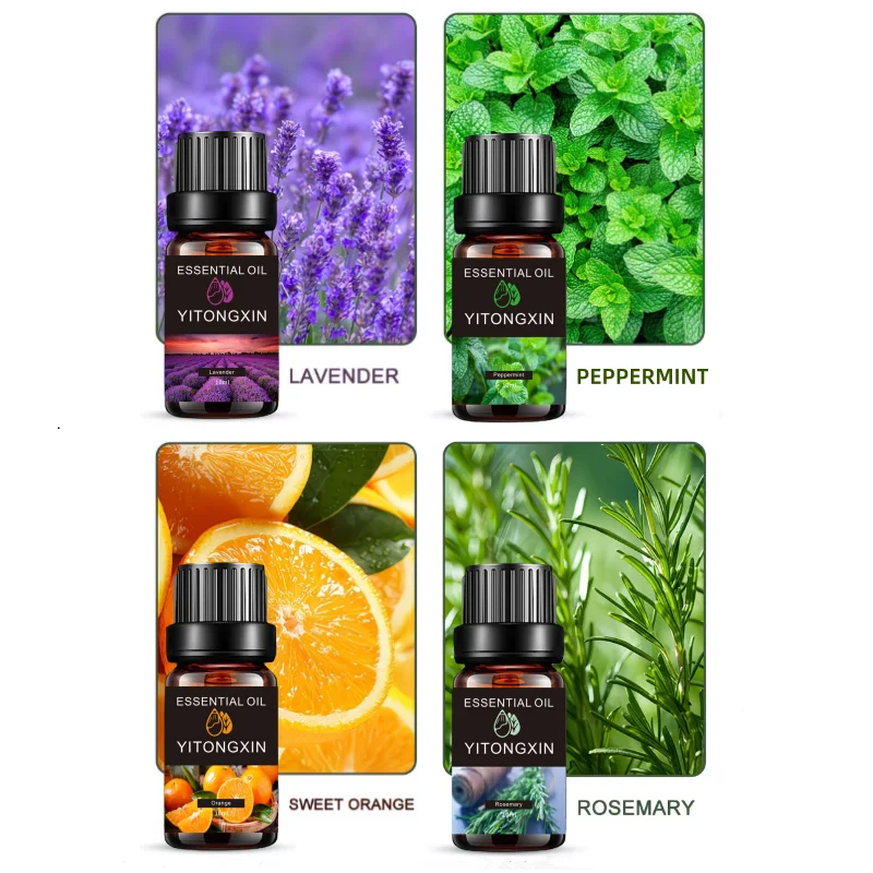 4Pcs Plant Essential Oil (Lavender+Peppermint+Orange+Rosemary) 10ml Per Bottle, Suitable For Body Massage Care