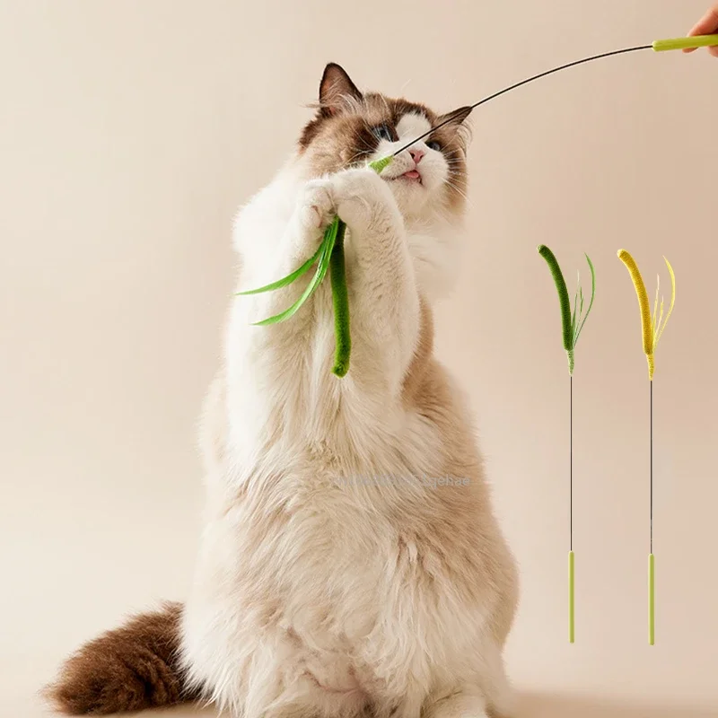 Cat Dog Tail Grass Dog Sage Feather Long Pole Cat Teasing Stick Bite Resistant Self Soothing Tool Cat Interactive Toy Supplies