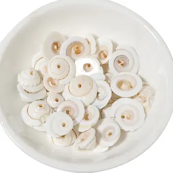 6 best sales Vỏ sò - №2