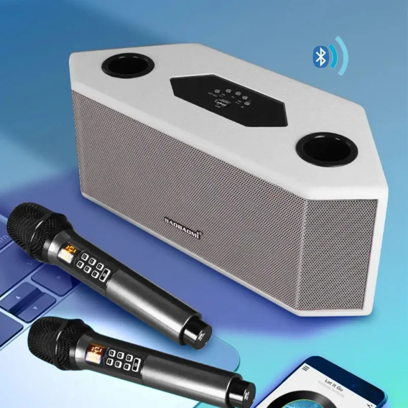 Professional Karaoke Active DSP Portable 100W High Power Wireless Bluetooth Speakers with 2 MIC Suitable for Home Outdoor KTV