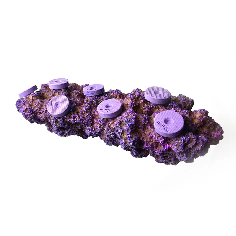 Magnetic Suspension Resin Aquarium, Marine Coral Fish Tank, Real Reef Frag Rack, Resin Landscape, Art