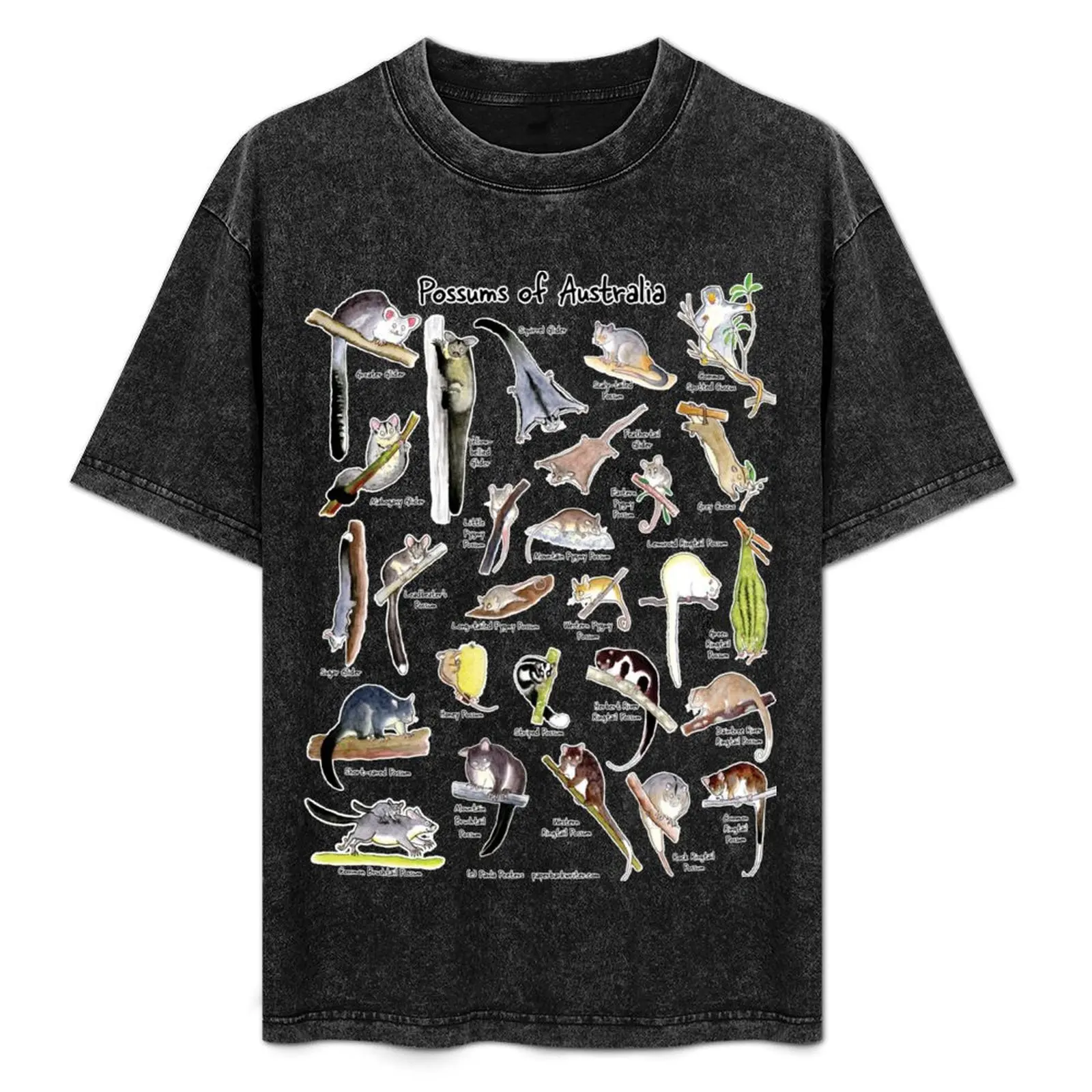 

Possums of Australia (with names) T-Shirt graphic tee shirt blue archive vintage t shirts quick-drying mens funny t shirts