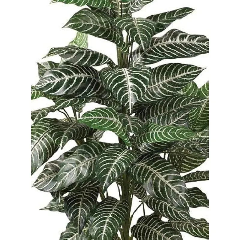 Zebra Silk Plant, Green 3 ft.