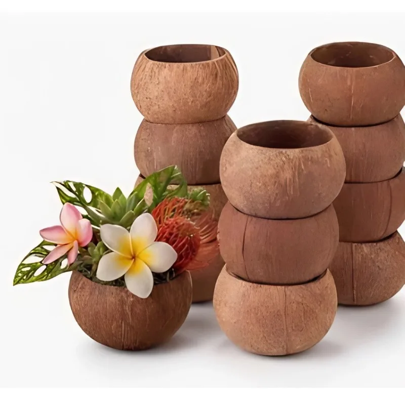 Natural Coconut Bowl 12-15cm Handmade Tableware with Wood Spoon, Fruit Salad Dessert Rice Ramen Kitchen Dinnerware