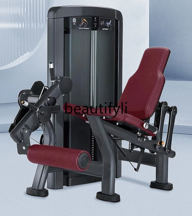

Arm push chest training Arm muscle gym Back of thigh training Comprehensive, shaping