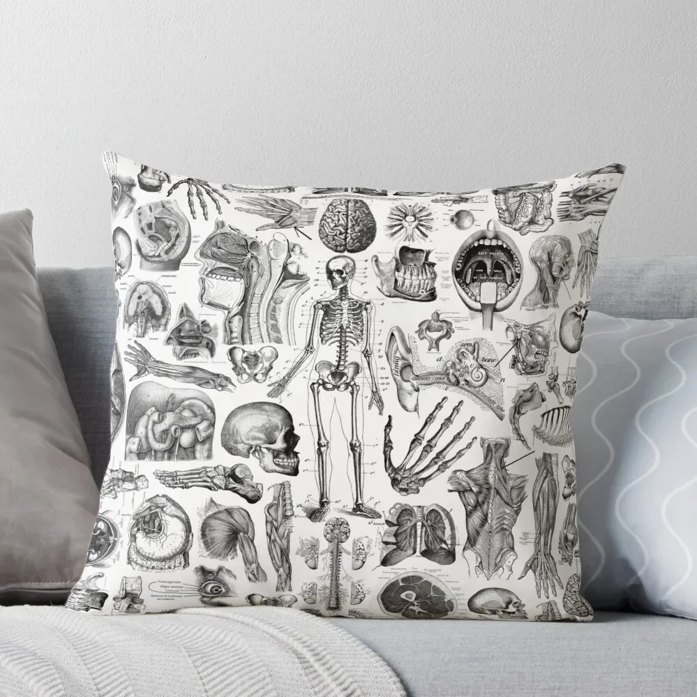 

Human Anatomy White Print Throw Pillow Decorative Pillow Covers For Sofa Sofa Cover Sofa Covers For Living Room Cushions