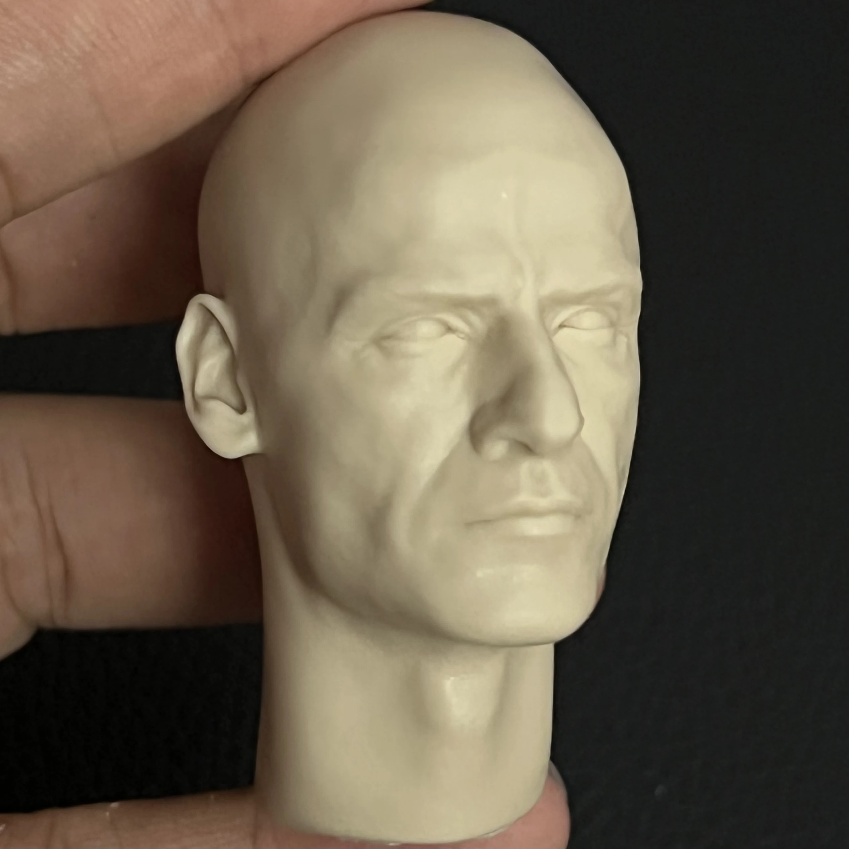 1/6 Die-Cast Resin Statue Head Fine and Detailed Unpainted Free Shipping (Isaac Mark )