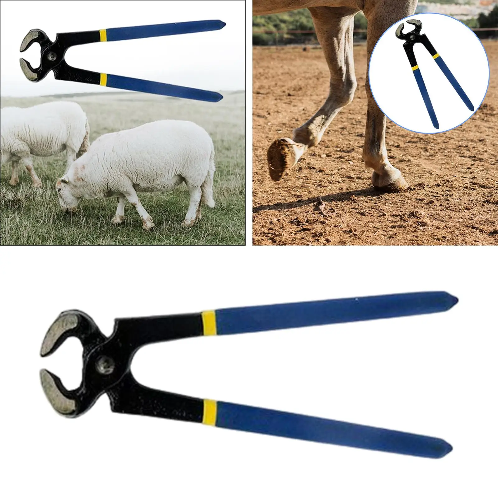 Recortador de pezuñas de caballo, cortaúñas profesional, herramientas de reparación de pezuñas, duradero, fácil de usar