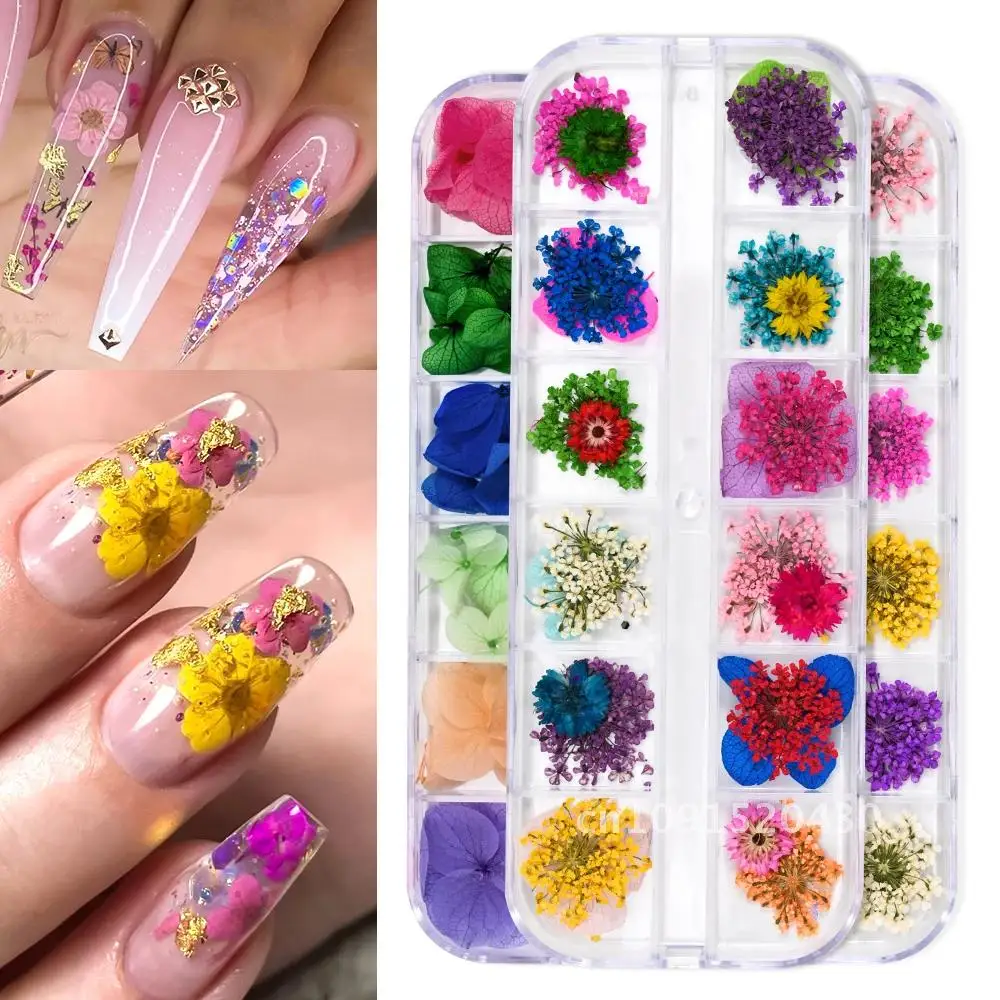 12 Grids/box 3D Nail Mini Dried Flowers Sticker Set For Nail Art Resin Craft DIY Real Natural Dry Flower Nail Art Decoration Kit