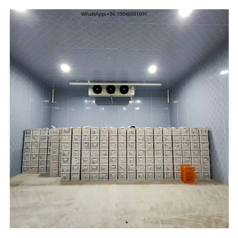 Refrigeration Unit Commercial Cold Storage Blast Freezer Room Potato Meat, Fish, Chicken, Seafood Blast Freezer -40