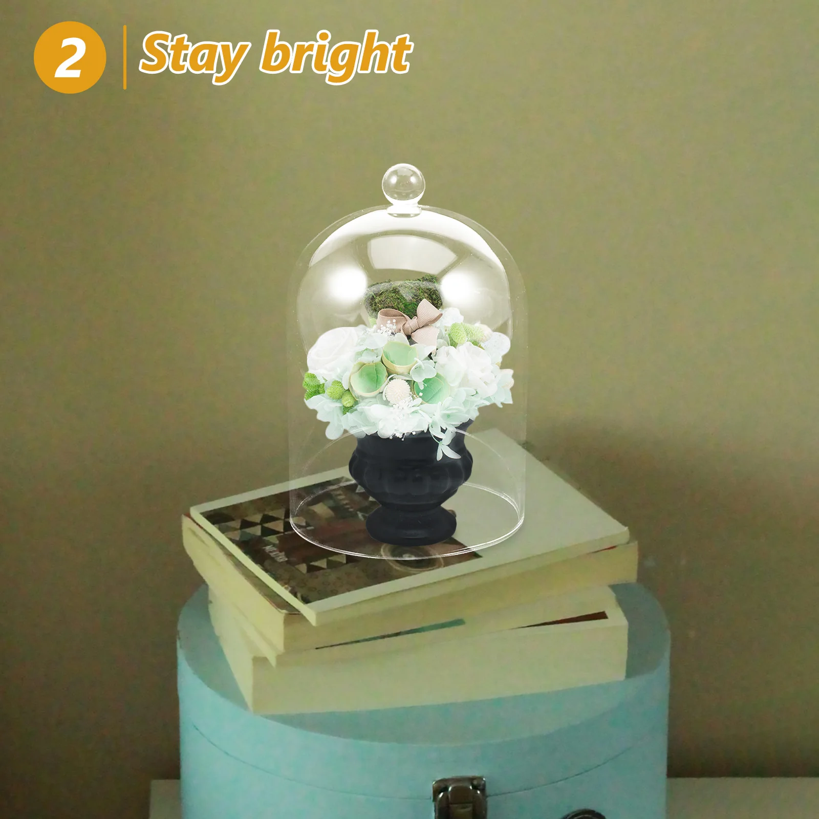

Glass Bell Jar Cover Micro Landscape Vase Elegant Design Preserved Flowers Protection Decorative Glass Cloche Flower Cover