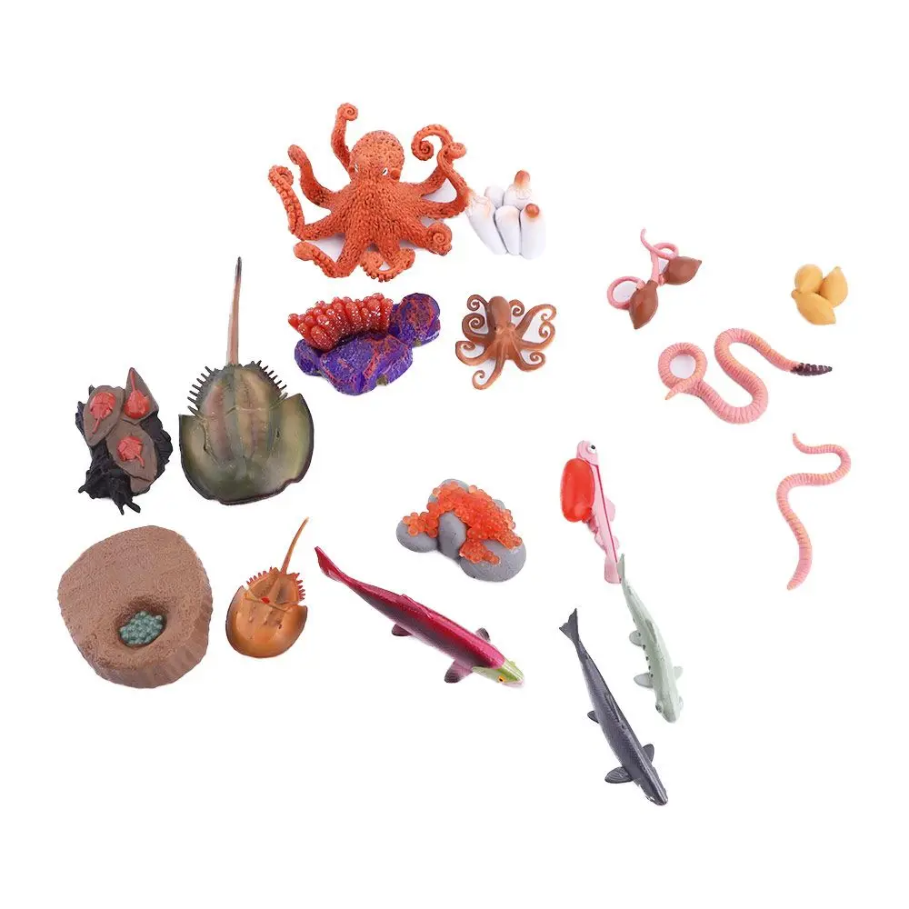 

Collect Sea Life King Crab Educational Toys Children Earthworm Octopus Growth Cycle Model Realistic Life Cycle Salmon