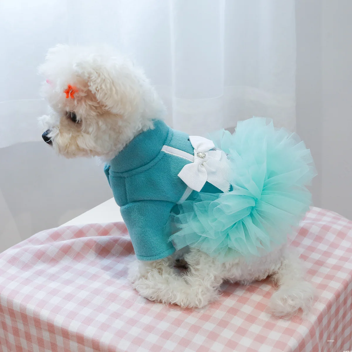 1PC Pet Apparel Dog Cat Autumn Winter Thickened Warm Blue Ladies Temperament Gift Box Bow Princess Dress For Small Medium Dogs