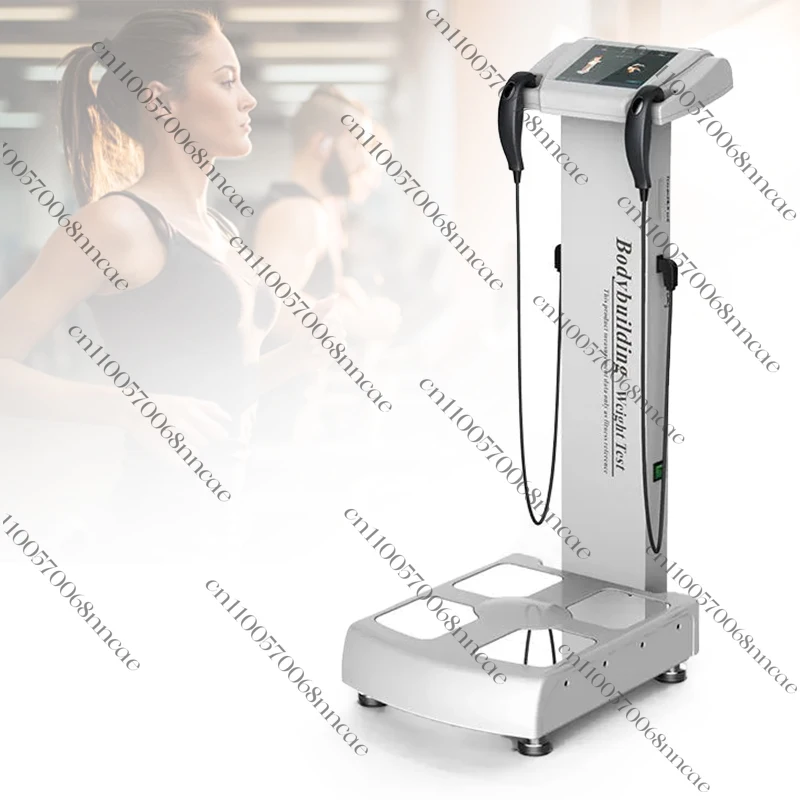 HOT in Fitness Body Analysis 270 280 310 770 570 Body Composition Analyzer Body Fat Analyzer With Result Sheet