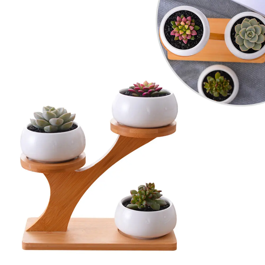 1Set Ceramics Small Round Flowerpots 3 Succulent Bonsai Planters Bamboo Shelf Home Office Garden Decor White Modern Minimalist