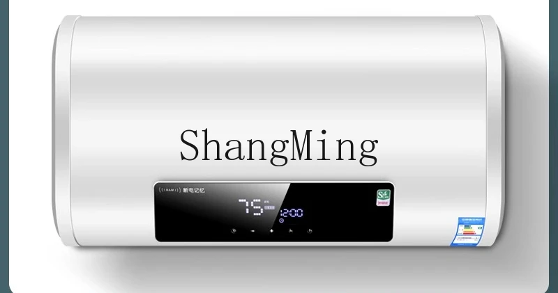 ZYY accumulo di energia dello scaldabagno elettrico domestico di prima classe, risparmio energetico e risparmio energetico