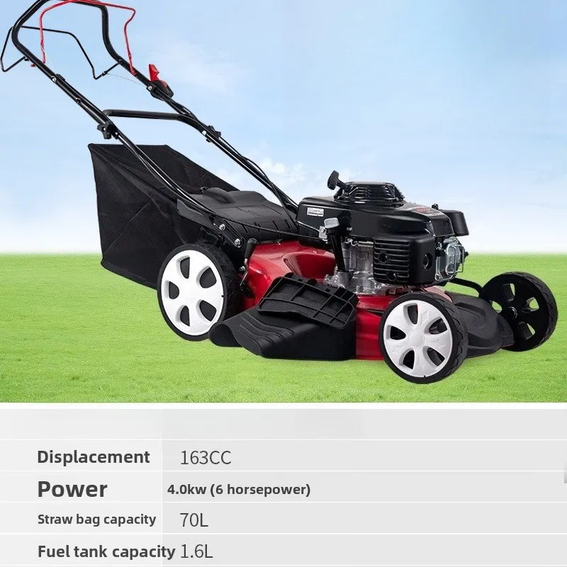 Frutteto pushpusher manuale per tosaerba Zongshen