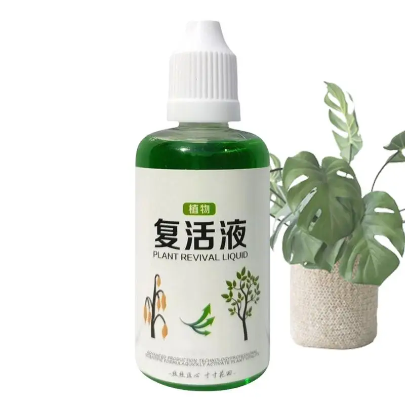 Agent d'enracinement succulent 50ml, engrais nutritif pour racines, Solution de croissance naturelle équilibrée rapide et forte pour jardin, ferme, pelouse