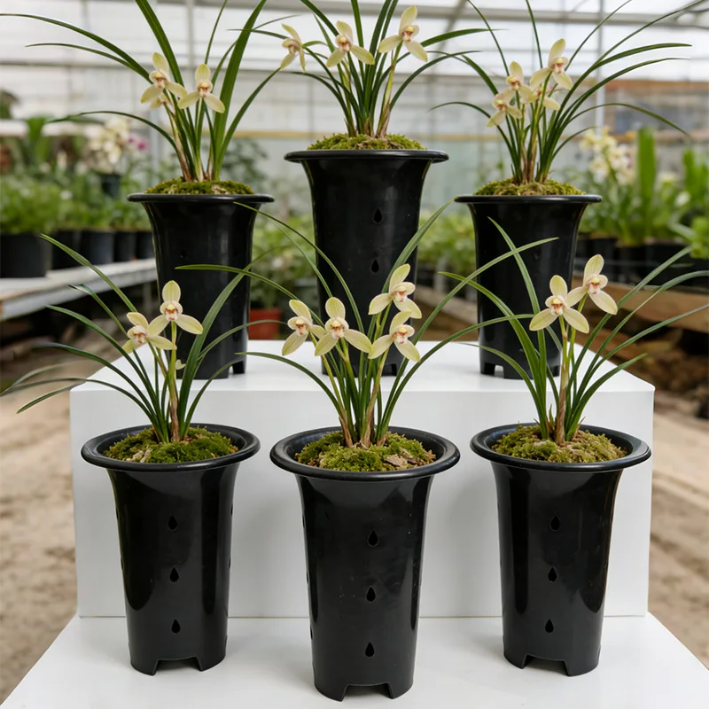 Orchid Pot Side Bottom Double Breathable Anti-Rotten Root Plastic Pot PP Thickened Fast Delivery