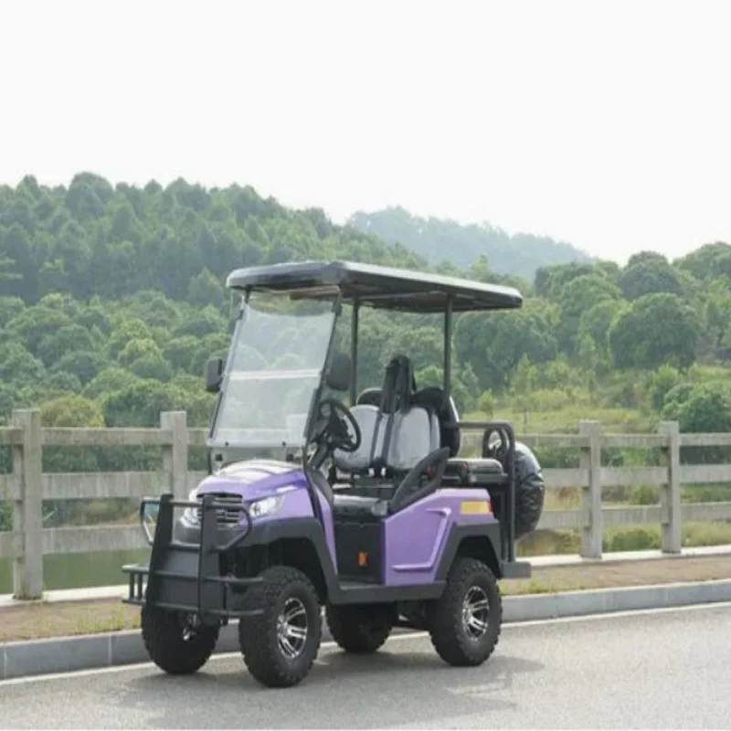 Hot Salegolf Cart L…