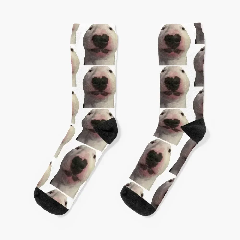 

walter dog meme Socks snow man compression funny gift Socks Men's Women's