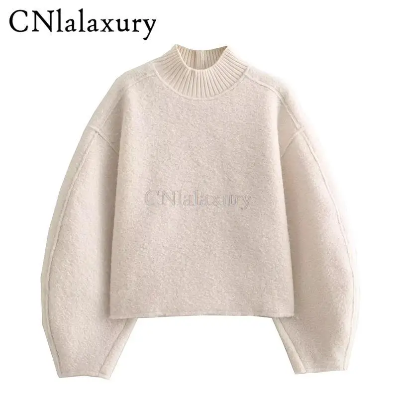 CNlalaxury 2024 Autumn Winter Women New Solid Color Simplicity Stand Collar Loose Leisure Short Hoodies Pullover Versatile Tops