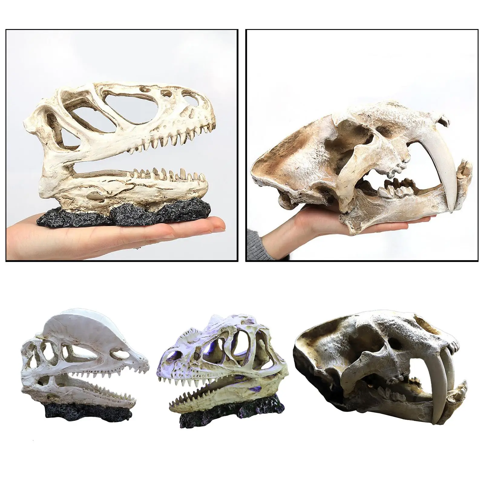 Resin Dinosaur Model Simulated Animal Skeleton Decor Craft