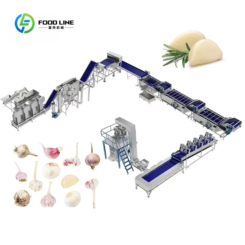 Customized Automatic Roller Garlic Separating Processing Unit Machine Air Compressors Garlic Peeler Line for Peeling Garlic
