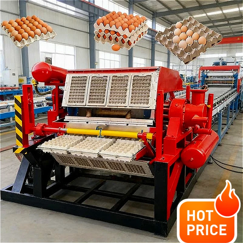 Egg Tray Production Line Pulp Molding Waste Paper Recycling System Forming Machine Egg Packaging Farm Industrial Use Customized