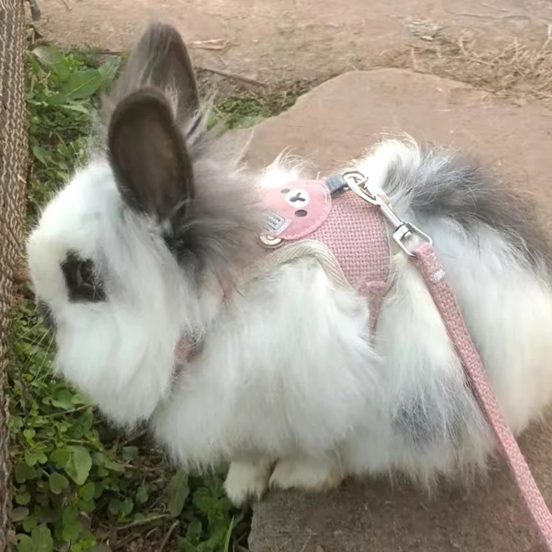 Newest Cute Rabbit Harness and Leash Set Bunny Pet Accessories Vest Harnesses cat dog Leashes for Outdoor Walking Pets Supplies