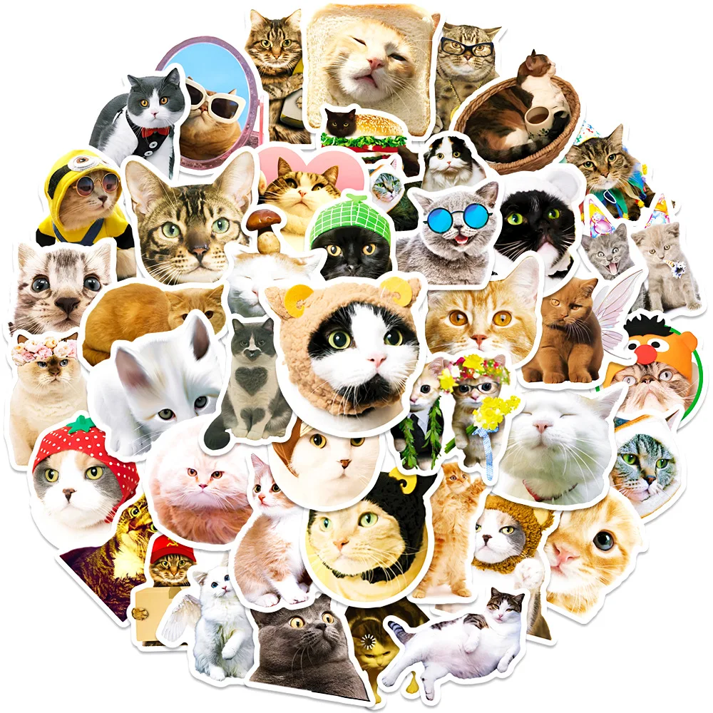 

10/30/50PCS Funny Cat Meme Animal Graffiti Stickers Cute Decals Travel Skateboard Suitcase Guitar Luggage Laptop Joke Sticker