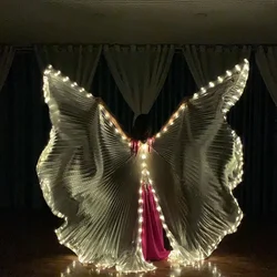 Women Adults Belly Dance Performance LED Costume Props Open Back Silver LED Isis Wings for Belly Dance Stage Wedding Party Show