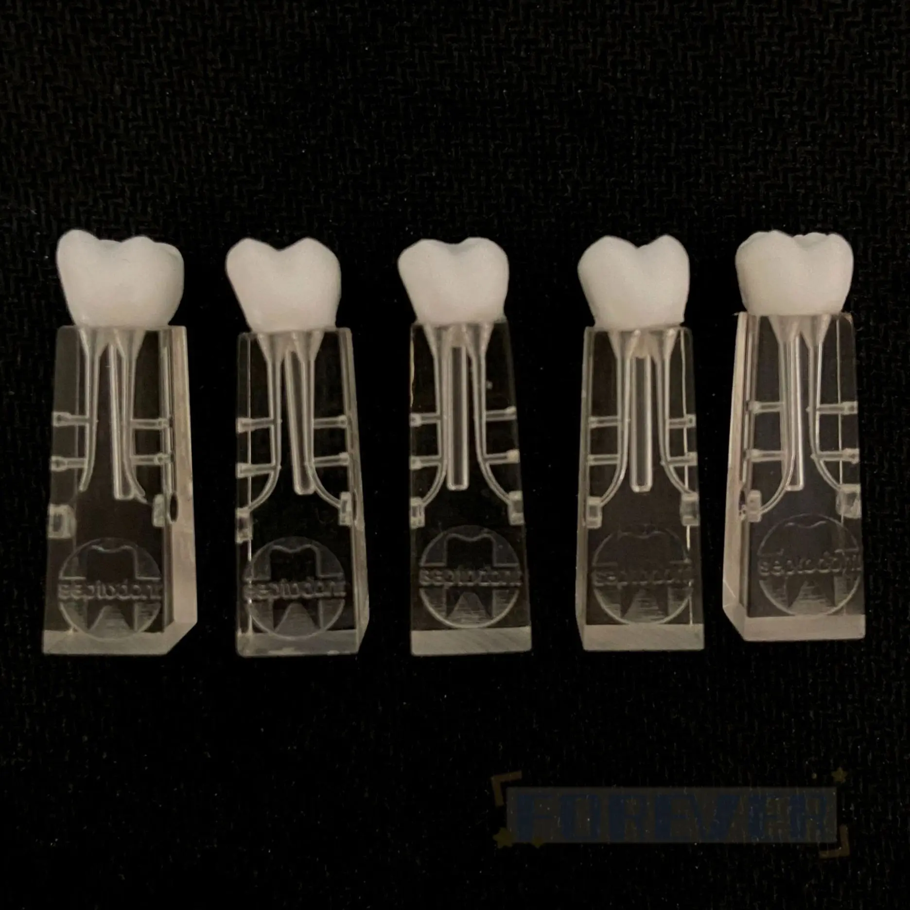 

5 pcs Dental Endo Files Molar Practise Blocks Combined Root Canal RCT 7-Path Teeth Training Block Practice Model Dentistry