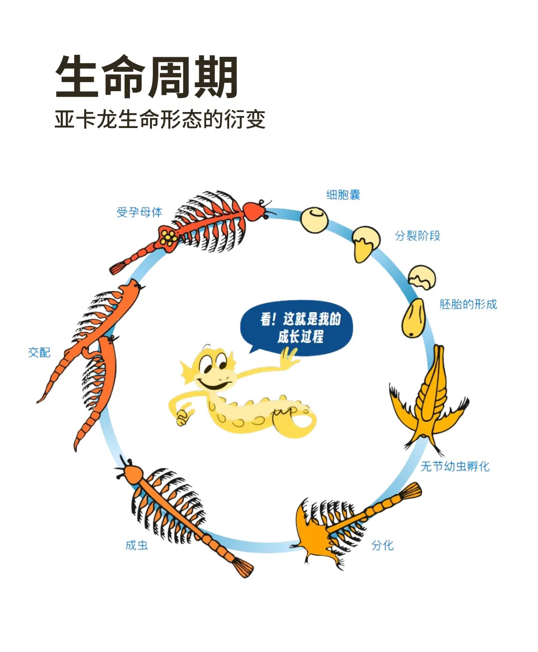 1 pçs verde aquadragons aqua dragões pequeno dragão do mar biológico incubação brinquedo experimental aquadragon brinquedos conjunto para crianças novo