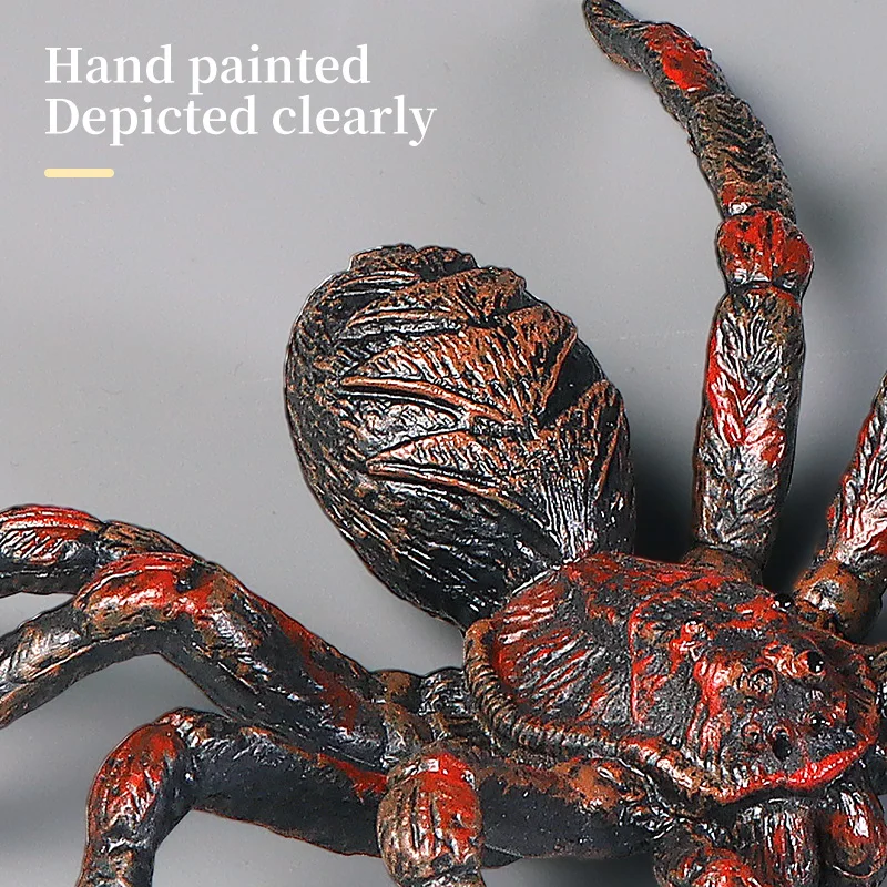 ชุดของเล่นแมงมุมสัตว์ประดิษฐ์เพื่อการศึกษา ชุดฟิกเกอร์สัตว์โลก ของเล่นเสริมสร้างความรู้ด้านวิทยาศาสตร์และการเรียนรู้ สำหรับเด็ก