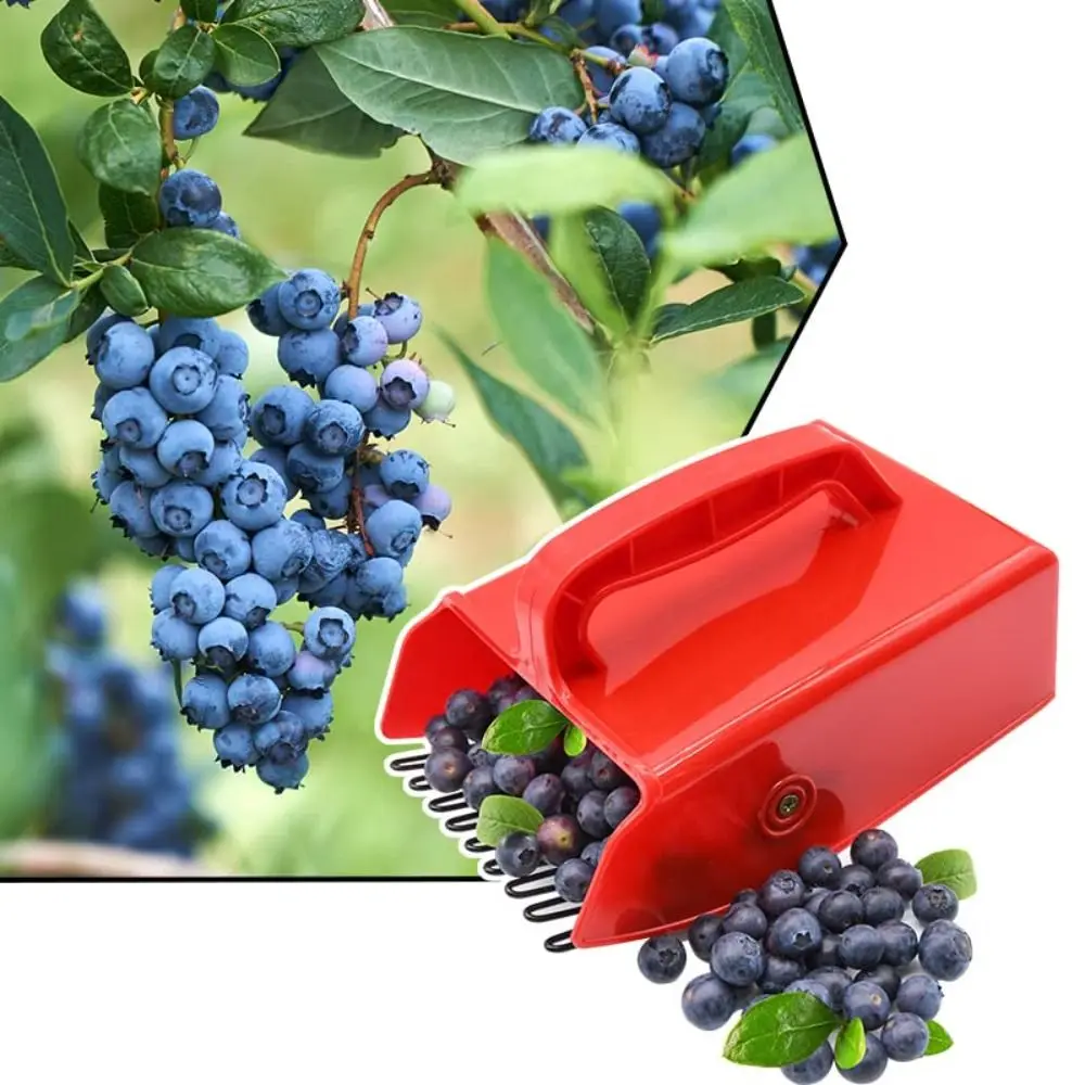 

Picking Berry Harvester Ergonomic Handle Scoop Huckleberry Picker Picker Tool Labor Saving Garden Berry Picker