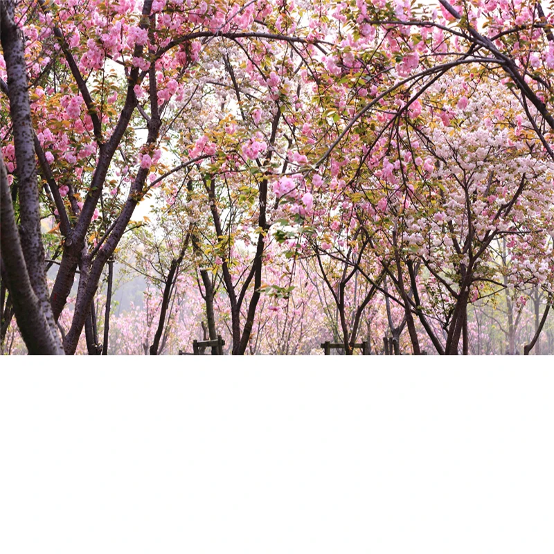 

Outdoor Full Car Cover For Subaru Crosstrek with Reflective Strips Waterproof Snowproof Dustproof UV Protection Auto Accessories