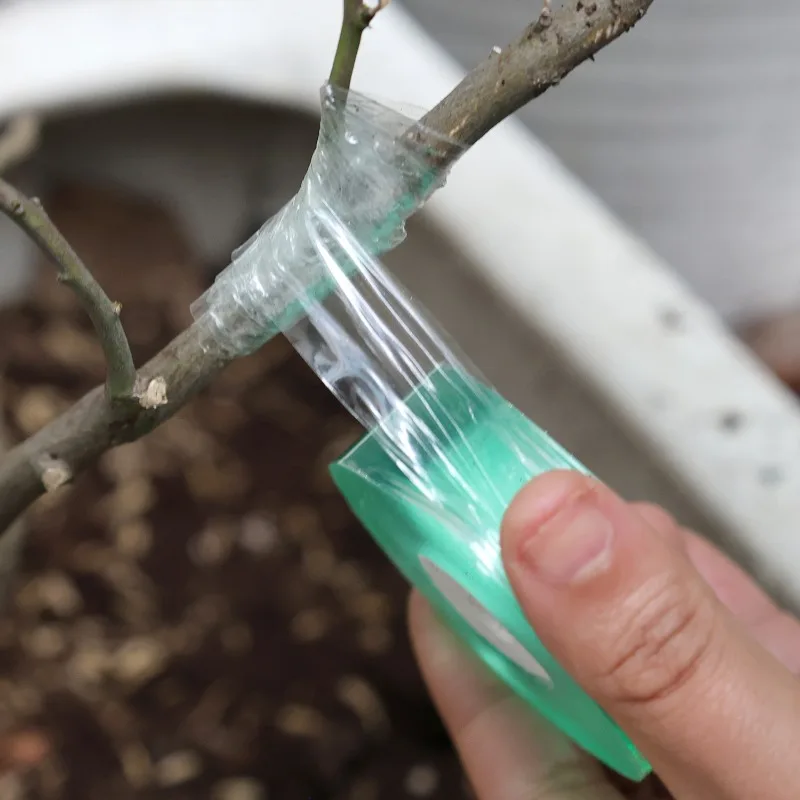 100/300M Stretchable Green Grafting Tape for Plant Support Nursery Use Household Garden Grafting Transparent Tape for Fruit Tree