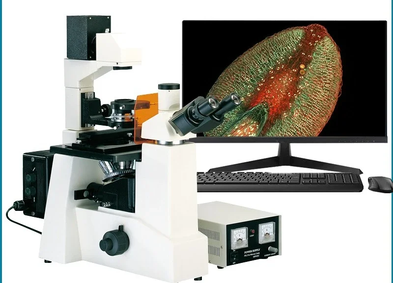 Inverted fluorescence biological microscope Petri dish Special instrument for living cells