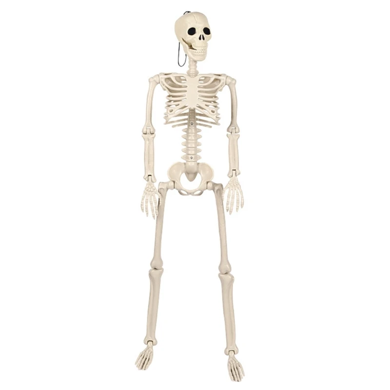 Full Body Hanging Skeleton with Movable Joints for Halloween Haunted House Props