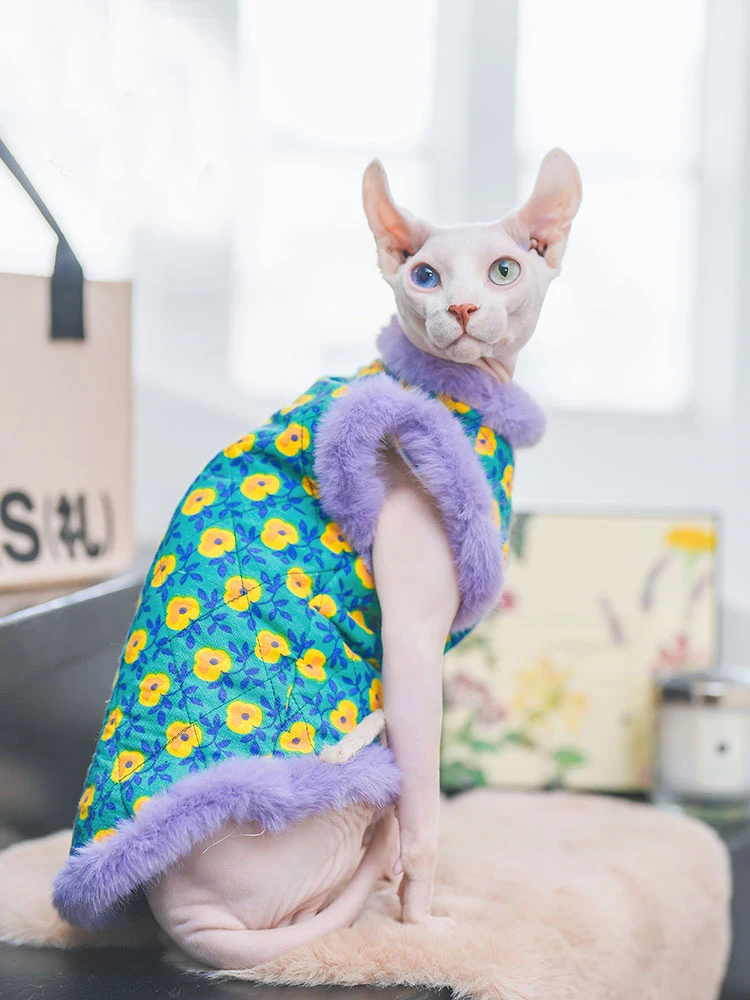 Plush Cheongsam Cotton Jacket Coat Suit for Sphynx Cat in Winter thick warm Sweater for Kittens Soft Lace Coat for Female Cat