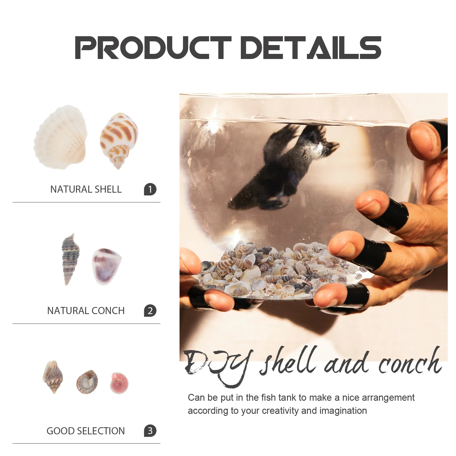 

Decorative Sea Shell Conch Natural For Aquarium Fish Tank Vase Filling Diy Craft Home Beach Party Ocean Themed Decor