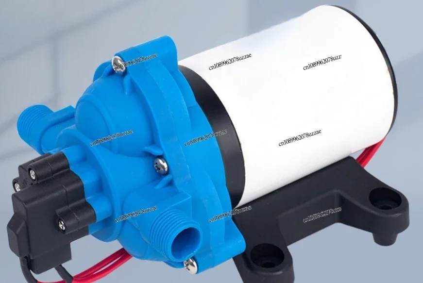Compact Electric Diaphragm Booster Pump Multi Style 12V 24V Self Priming Water Pump For Small Marine And RV Equipment