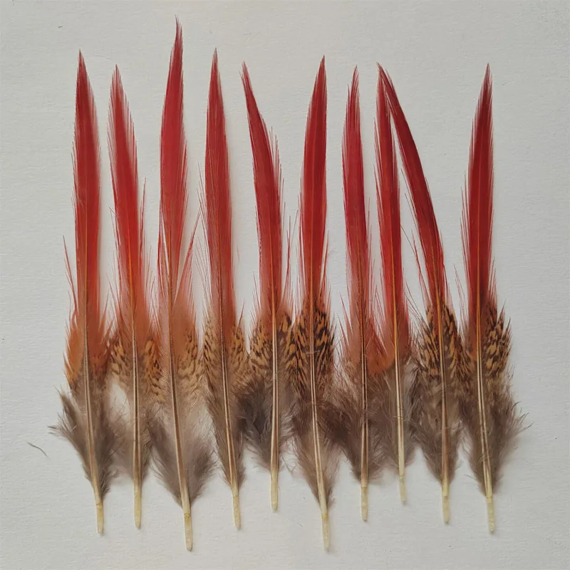 10Pcs Natural Golden Pheasant Tail Feathers,Red Tipped Golden Pheasant Feathers,Red Craft Feathers for Masks Jewelry Making