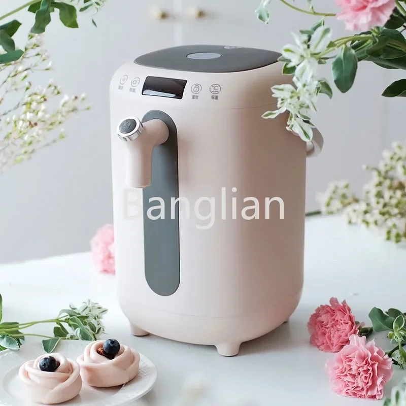 220V 3L Electric Kettle Stainless Steel Inner Portable Electric Water Boiler Pot Hot Water Dispenser Electric Hot Water Bottle