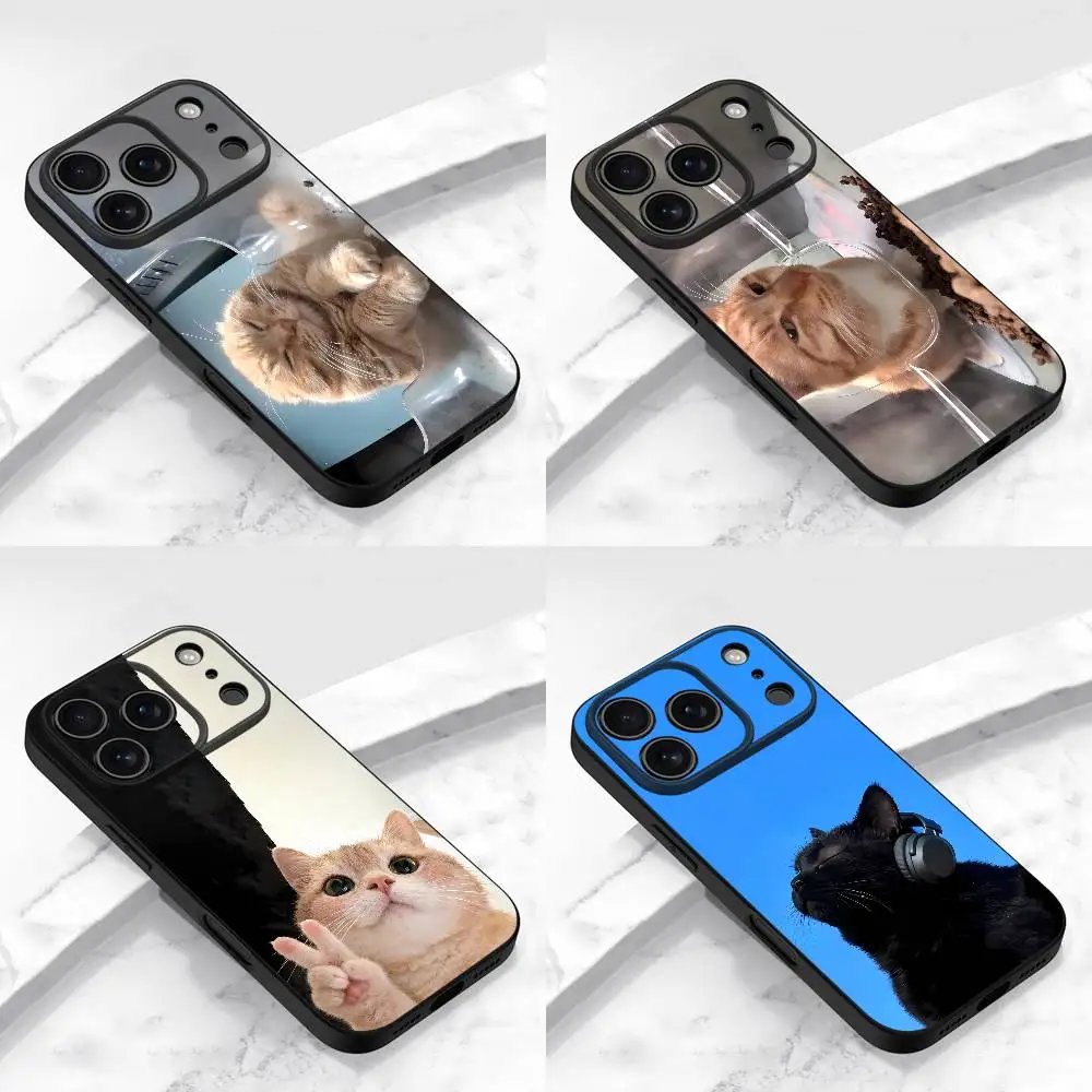 

Cat Listen Music Meme Funny M-Mr Fresh Phone Case For iPhone 15,16,12,14,13,11,17,Pro,Max,Plus,E,Air,Mini Black Cover