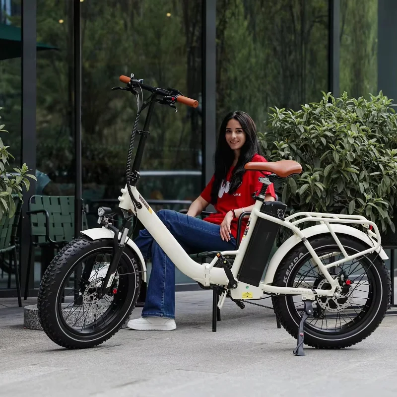 

Motor Style 500W Folding Electric Bike