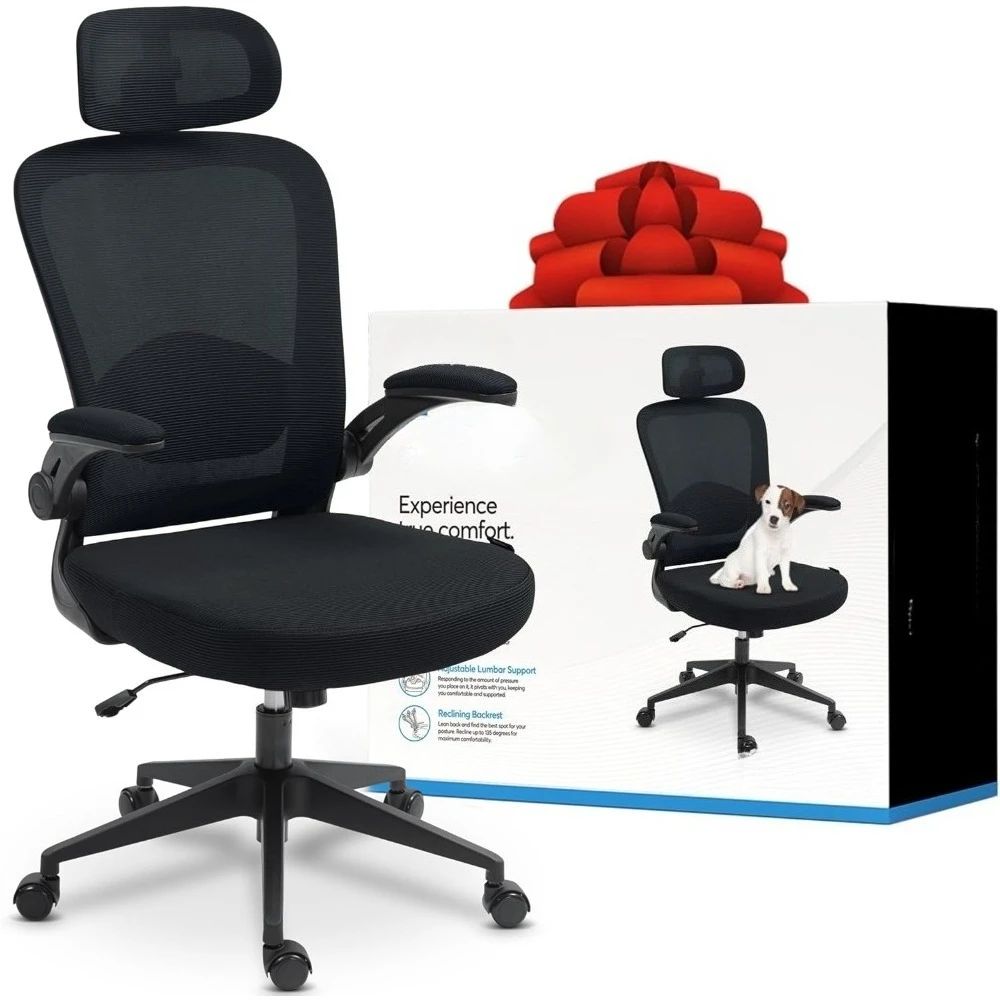 

ErgoAir Ergonomic Office Chair – Adjustable Lumbar Support, Flip-Up Armrests, Mesh Computer Desk Chair, Swivel Rolling Exe