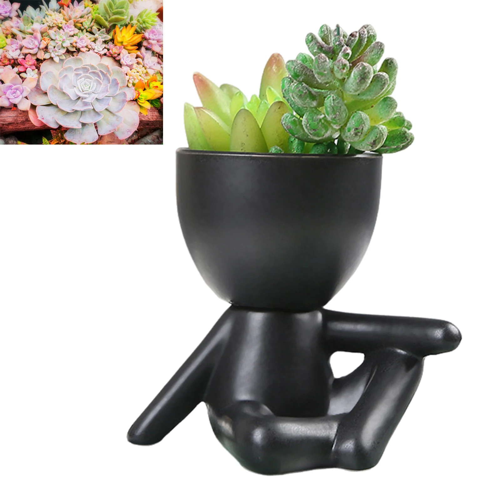 

Керамический горшок для растений с суккулентами, уличный садовый цветочный горшок с орнаментом для украшения сада на открытом воздухе