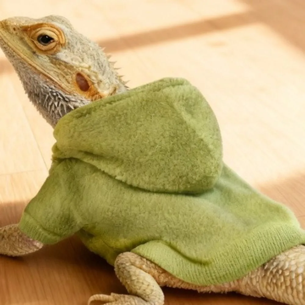 Fret Hoodie Warme Hagedissen Kleding Winddicht Zacht Hagedis Harnas Vest Effen Kleur Baardagaam Hoodie Pet Show